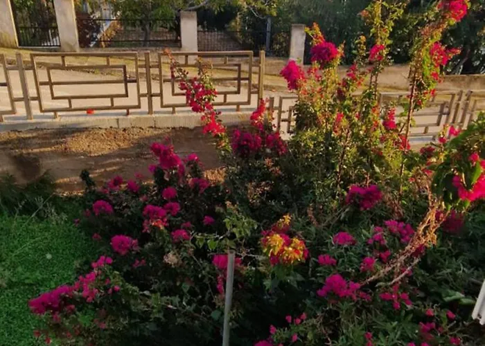 Апартаменты Annidia Комижа